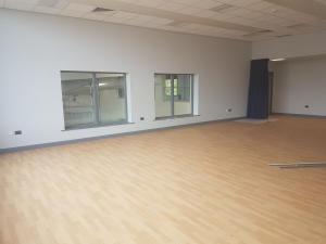 West Town Primary school Peterborough (19)